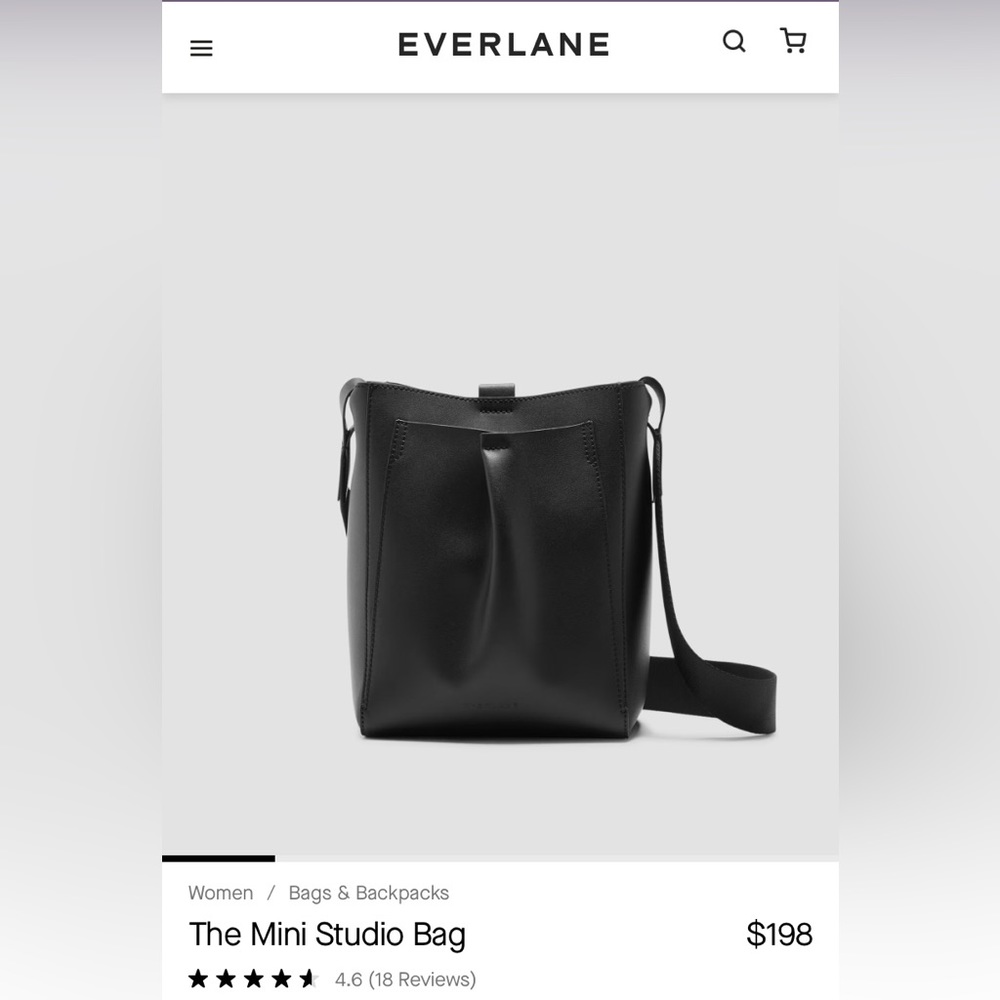 EVERLANE Mini Studio bag in Black EUC